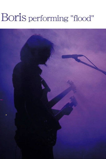 Boris performing flood