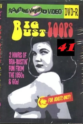 Big Bust Loops 41