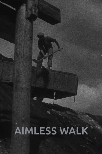 Aimless Walk