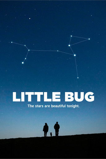 Little Bug