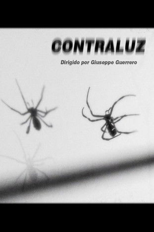 Contraluz