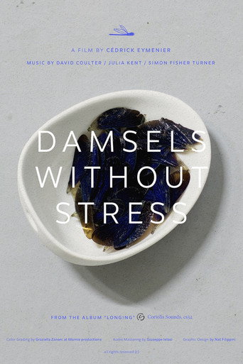 Damsels without stress
