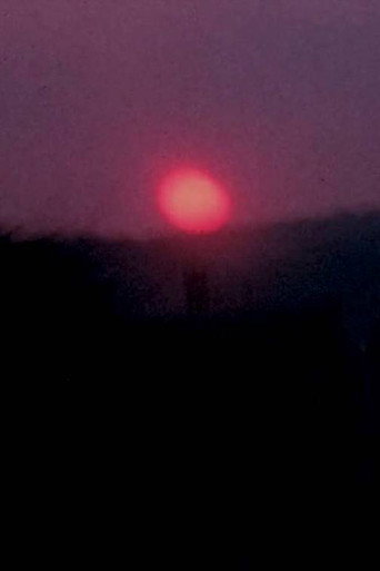 Carolyn and Me: Part Three