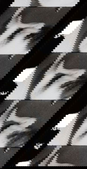 Angle