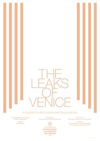 The Leaks of Venice