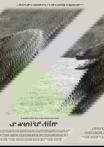 A Weird Film