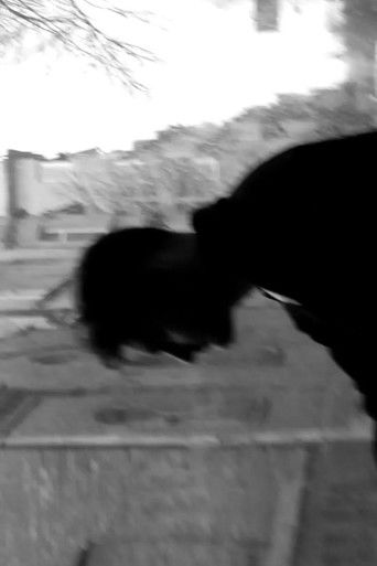 Here's What I Think About All of This