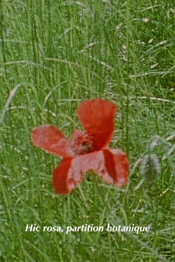 Hic Rosa, Botanical Score