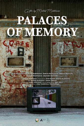 Palaces of Memory