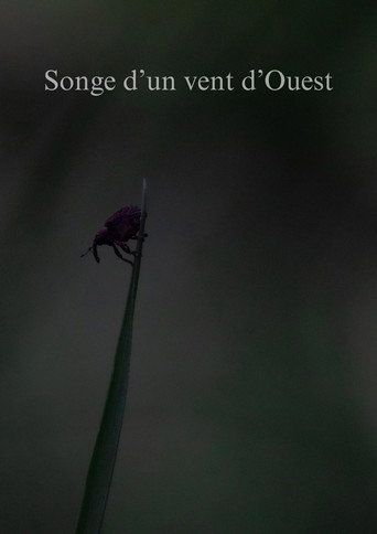 Songe d'un vent d'Ouest