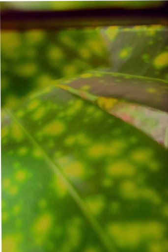 recuerdos de rio verde