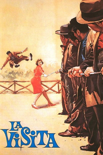 Poster for The Visitor