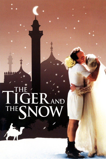 Poster for The Tiger and the Snow