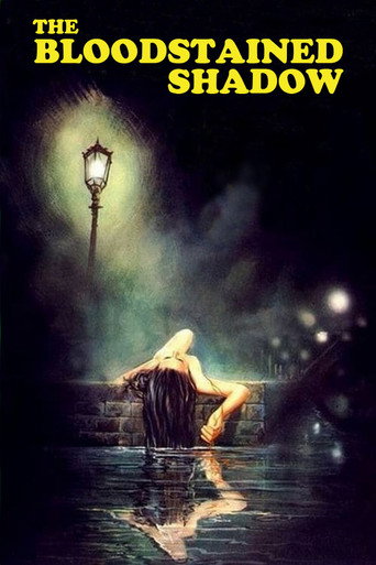 Poster for The Bloodstained Shadow