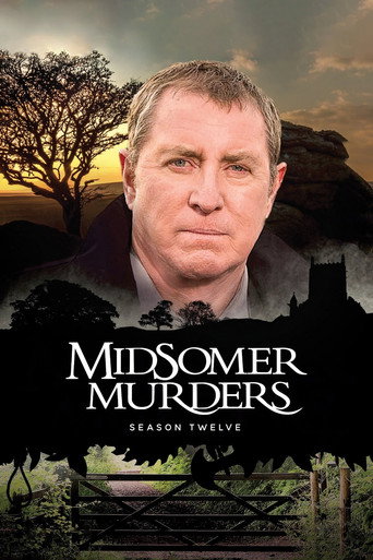 The poster for Series 12