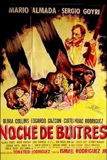 Poster for Night of Vultures
