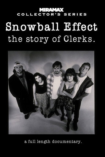 Poster for Snowball Effect: The Story of Clerks