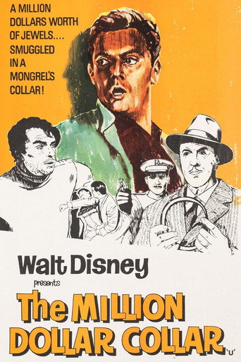 Poster for The Ballad of Hector the Stowaway Dog