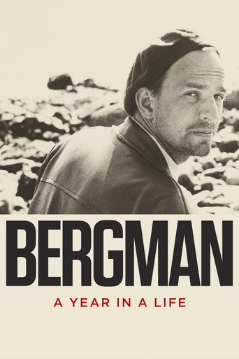 Poster for Bergman: A Year in a Life