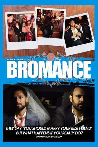Poster for Bromance