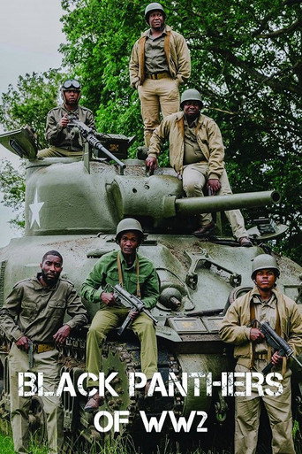 Poster for The Black Panthers of WW2