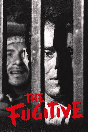 Poster for The Fugitive