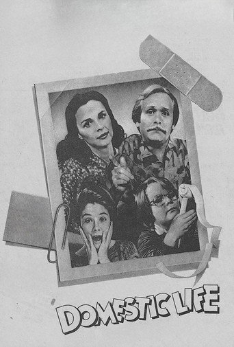Poster for Domestic Life
