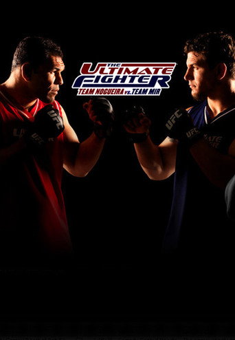 The poster for Team Nogueira vs. Team Mir