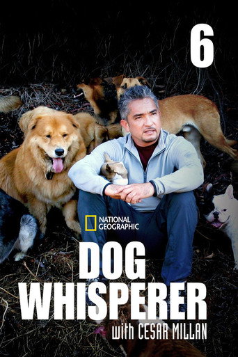 The poster for Season 6