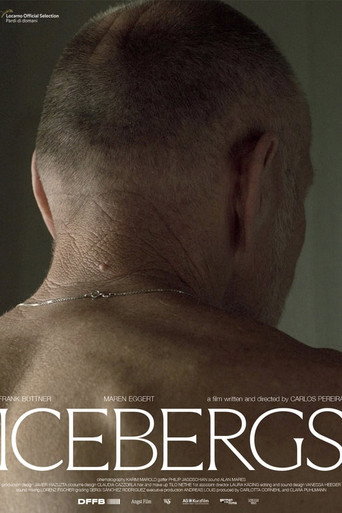 Poster for Icebergs