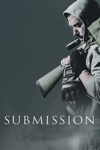Poster for Submission