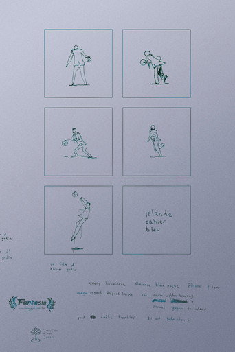 Poster for irlande cahier bleu