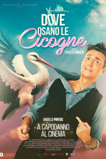 Poster for Where Storks Dare