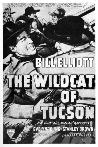 Poster for The Wildcat of Tucson