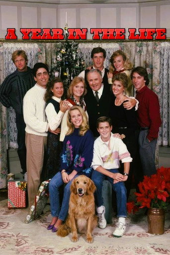 Poster for A Year in the Life