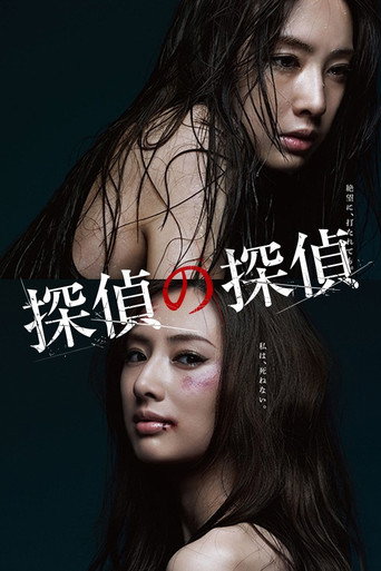 Poster for Detective versus Detectives