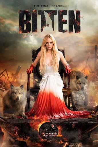 The poster for Season 3