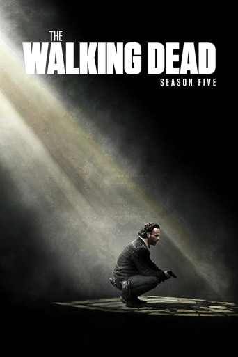 The poster for Season 5