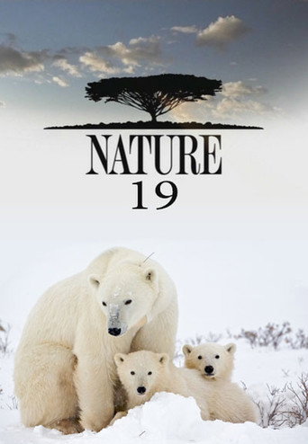 The poster for Season 19