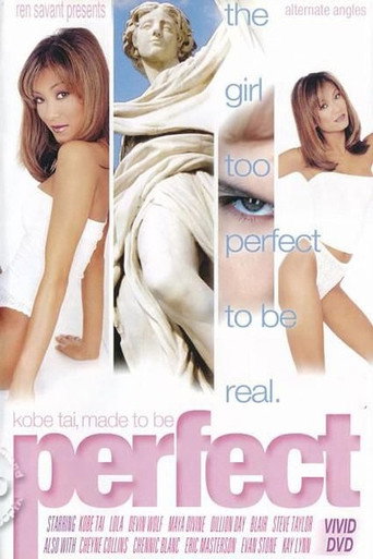 Poster for Perfect
