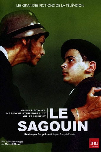 Poster for Le Sagouin