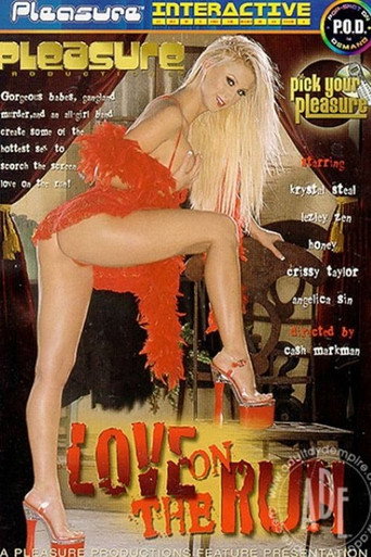 Poster for Love on the Run