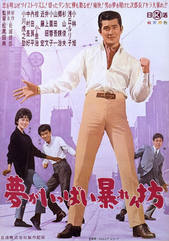 Poster for A Rampage Full of Dreams