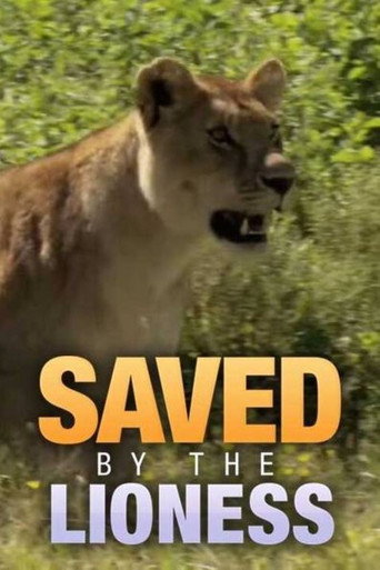 Poster for Saved by the Lioness