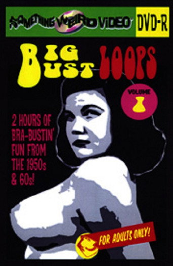 Poster for Big Bust Loops Volume 1