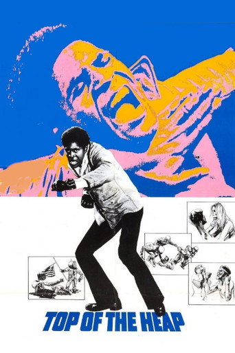 Poster for Top of the Heap
