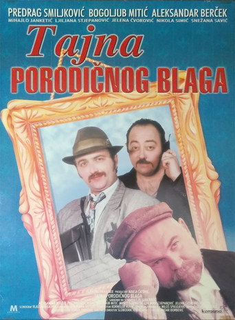 Poster for The Secret of Family Treasure