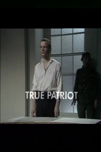 Poster for True Patriot