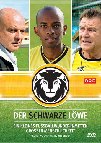 Poster for Der schwarze Löwe