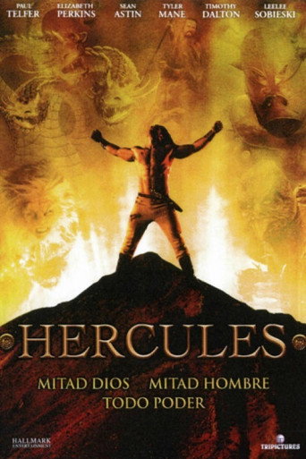 The poster for Miniseries